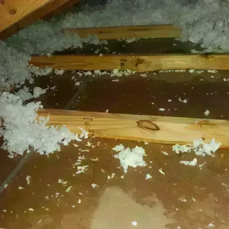 Attic Water Damage in Crystal, MN