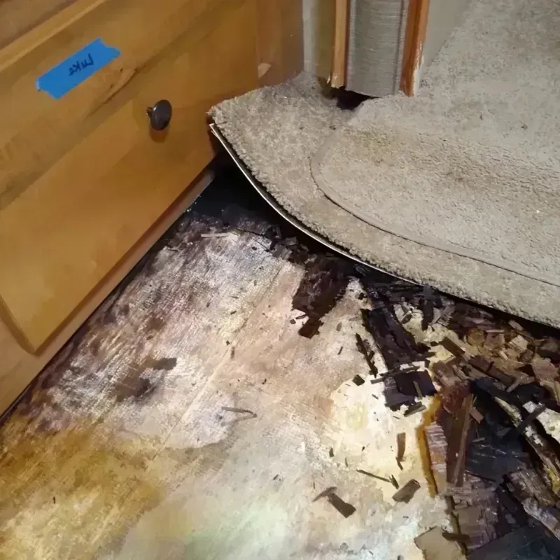 Wood Floor Water Damage in Crystal, MN